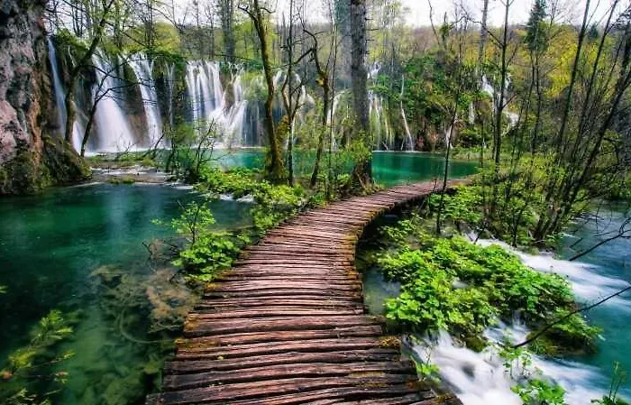 Liberta In Old Center Apartament *